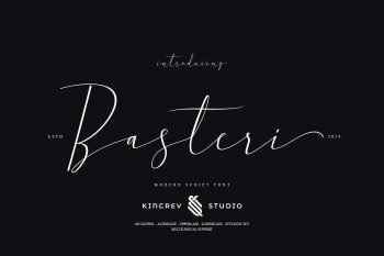 Modern Script Font