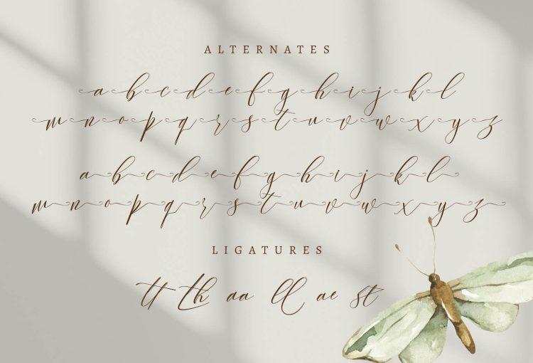 modern script font